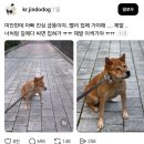 산책