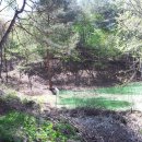 농장삼계탕 이미지