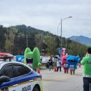 환경마실축제 | 부안마실축제 홍보 풍선 제작 부안마라톤 행사 참여 후기