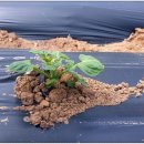 재학농장 이미지