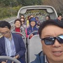 투어그린