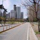 천안새샘초등학교 이미지