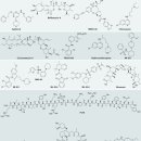 Re: 자가포식을 위한 엔도좀, 자가포식체, 리소좀 ... 세포 수리기관 탐구 이미지