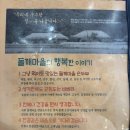 돌깨마을 맷돌순두부 운정점 | 돌깨마을맷돌순두부 파주운정점 내돈내산 후기
