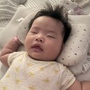 서원조명 | 서원이 침대 장만했습니다 | 페라모 갤럭시 조명 저상형 데이베드 아기침대 내돈내산 후기