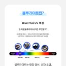 다비치안경 유성온천역점 네이버블로그