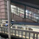 까치미용실 | 까치 ♪ 까치 ♪ 설날은~♪