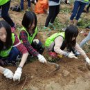 금강모치마을 이미지