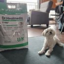 반석동물병원 이미지