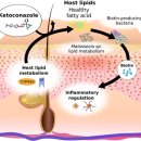 해봄약국 이미지