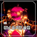 우리들의 예술정원: 아크릴화 | 강남 선릉역 분위기 좋은 심야 데이트 술집 Stay in 비밀의 정원 마치 비밀 아지트 같았던 곳