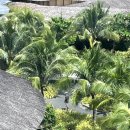 짬뽕만다라 | 나트랑🇻🇳 4박 5일 여행 2탄(2~3일차) | 아나만다라 깜란, 반쎄오 꼬뚜엣(할머니 반쎄오), K10, 홍늉스파...