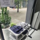 데스티니 퍼피 이미지