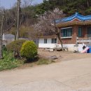 봉생리 이미지