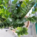 평택토박이공인중개사사무소 이미지