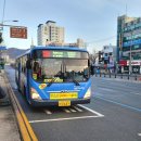 9월1일부터 버스전용차로 위반 단속 확대 됩니다 이미지