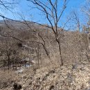 곤지암읍-8 이미지