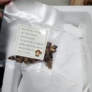 곡성-102 | 곡성 옥과농원 참송이버섯 먹는 법 향긋 쫄깃한 식감