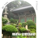 해광사 | 부산 기장 해광사 사찰 오랑대공원 오시리아해안산책로 수국 명소