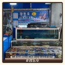 광동수산 | 태안 몽산포 수산시장 광동호 정찰제 착한가게 내돈내산 강추