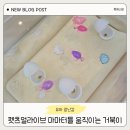 더 펫츠 | 어린이날 선물 6세 아이 선물 펫츠얼라이브 마마터틀 움직이는 거북이 장난감 내돈내산 후기
