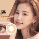 단델리온 이미지