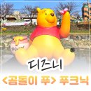 (주)푸코스 | 디즈니 <곰돌이 푸> 푸크닉 대전 가볼만한곳 팝업 오픈런 굿즈 정보 및 후기