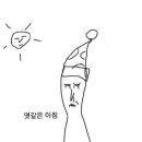 디비자라