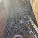 김유정로 L 이미지