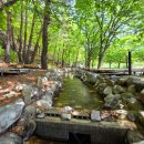 산나들이민박 | 청도펜션 운문사펜션 추천 산나들이펜션