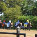 코끼리시장 이미지