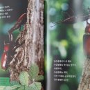 자연(애)장수 이미지