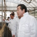 친환경 염소농장 이미지