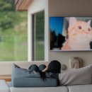 스테이너와 이미지