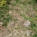 가납주공아파트 이미지