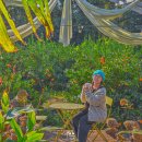 느링느링스테이 이미지