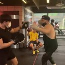 미스터복싱짐 이미지