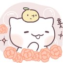 삼봉태권도 이미지