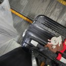 신유렌트카 | 2025 여름, 울릉도 여행기 1일차 한큐에 독도 입도 성공