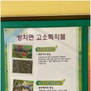 쌍치중학교 이미지