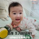 아기가 잘먹는 시판이유식 푸드케어 클레 초기이유식