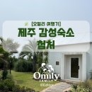 첨처 | 🌿 [오밀리 여행기] 제주 '첨처' — 자연 속에서 머문 감성 독채 숙소