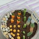 간식 텃밭 만들기 이미지