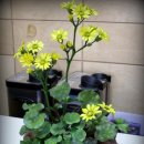 기림초등학교 이미지