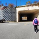 세포보건진료소 이미지