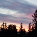 선화농원 이미지