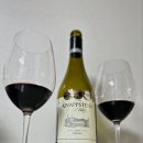 더 리얼사우스 이미지