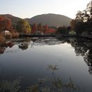 명학산 캠핑장 이미지