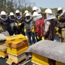 도시농업관리사반 이미지