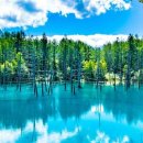 연못으로 이미지